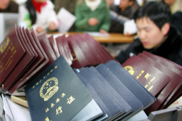   央视曝光出国淘金骗局 缩略图