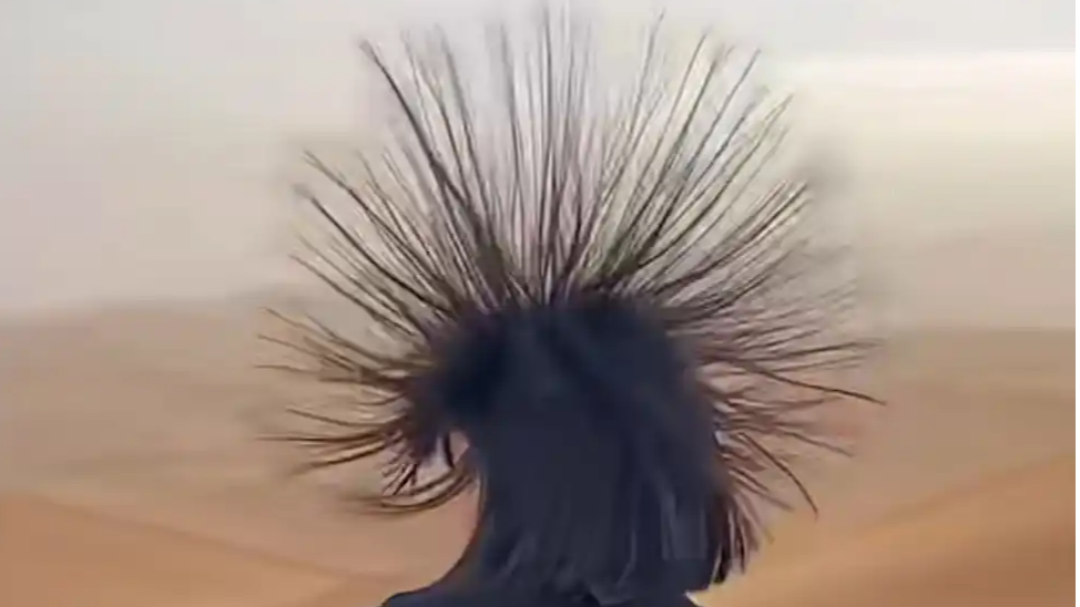 街道回应市民过斑马线头发会竖起