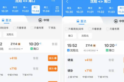 沈阳去海南Z114次车票开售即售罄