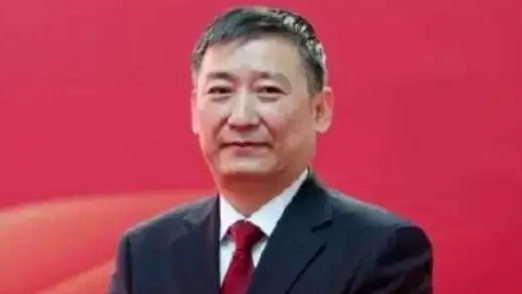  人大代表：不能光让孩子休假大人不休