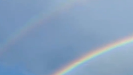一高校在广西招生现“零投档”现象