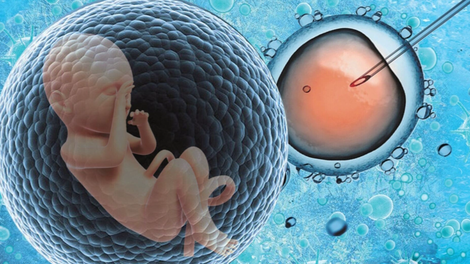 “每一个小群体都不会被放弃”