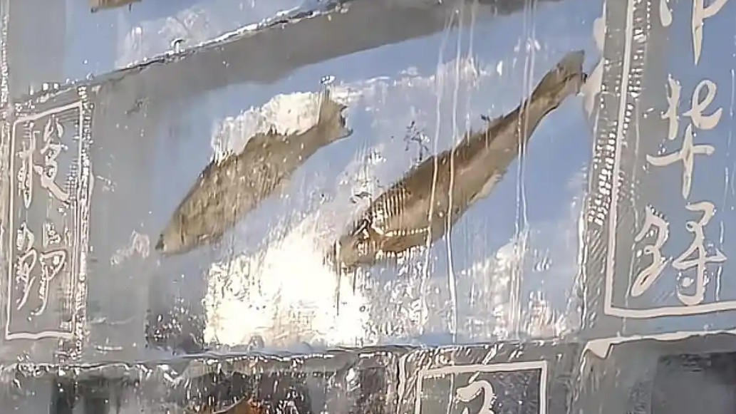 黑龙江景区现3米高“冰封鱼墙”