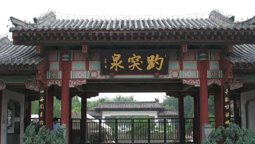 树枝折断致8人轻伤 趵突泉景区道歉