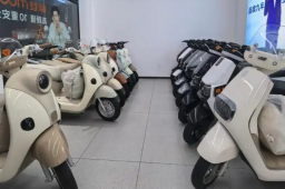   涨价百元起 “小电驴”为何卖贵了 缩略图