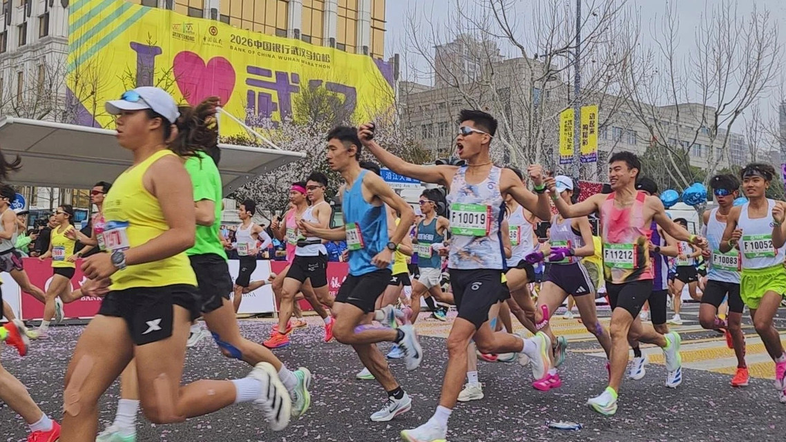 武汉马拉松含樱量极高