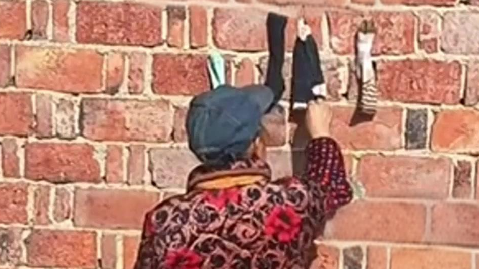 网友拍母亲晒袜子：一甩全挂墙上