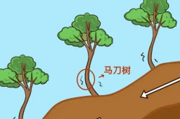 13日