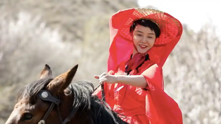 贺娇龙所有直播打赏均用于公益