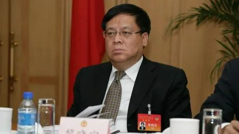 黎晓宏被查