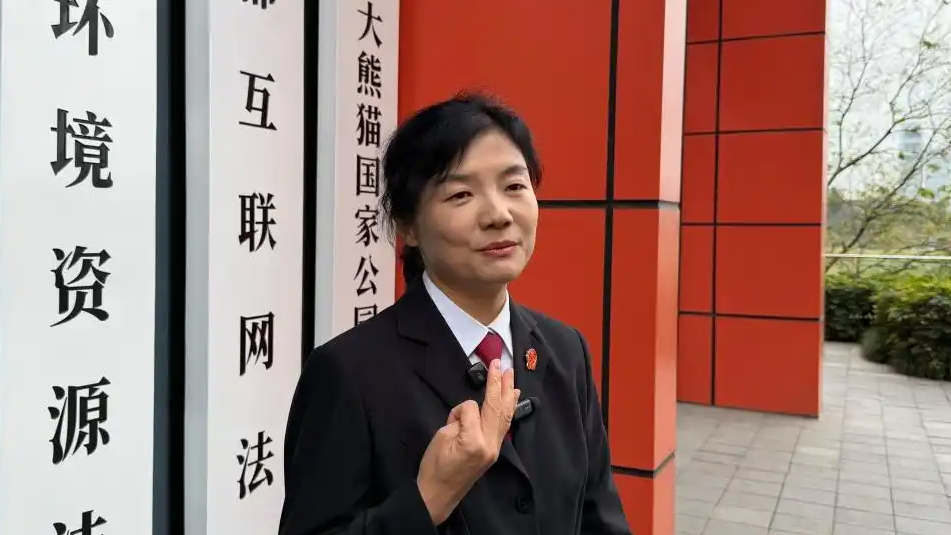 1元购车商家拒发货 法院：交易不成立