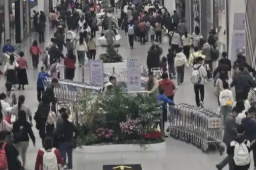   机票价格跳水 有一家四口亏了4000元 缩略图