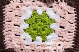 07日