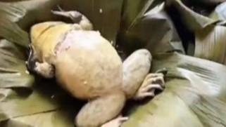  重口粽子来袭！网友：差点就戒粽子了