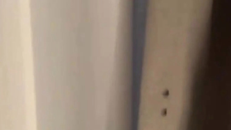 酒店回应墙上挂避孕套窗帘粘假睫毛