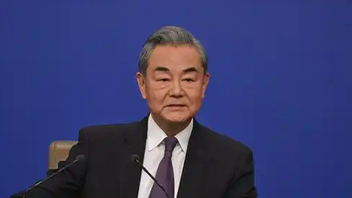 王毅：日本现职领导人公然开历史倒车