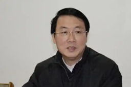   中纪委打两“虎” 缩略图