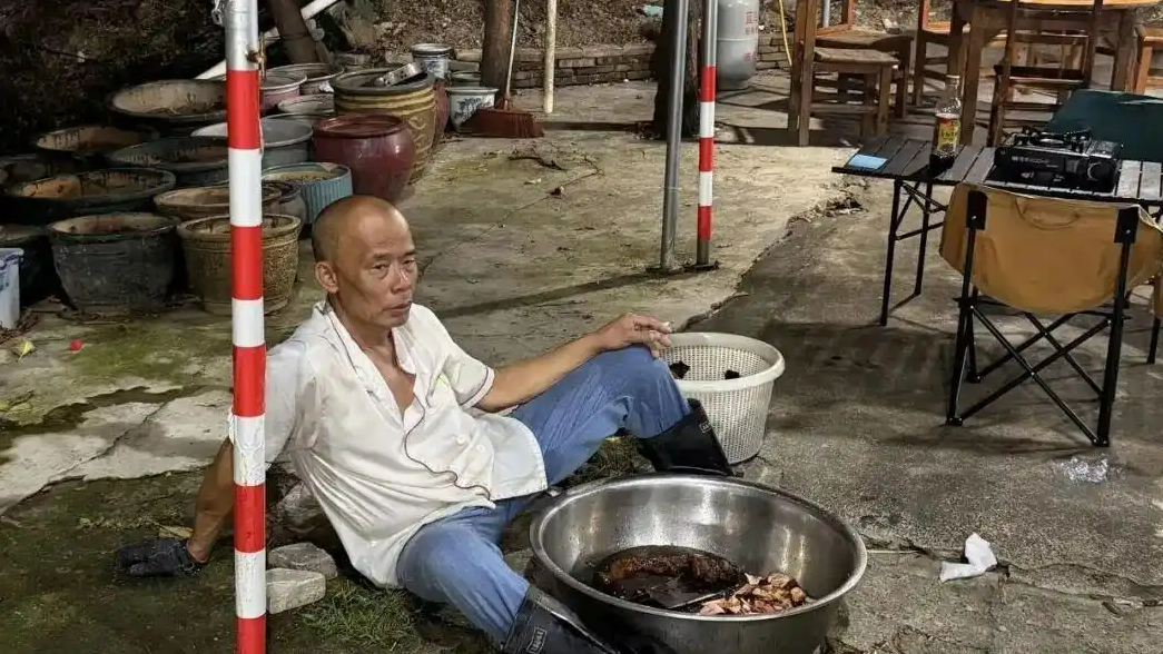 爆火鸡煲店的鸡最多还能吃2个月