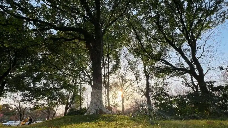 白天爱晒太阳的人赚到了