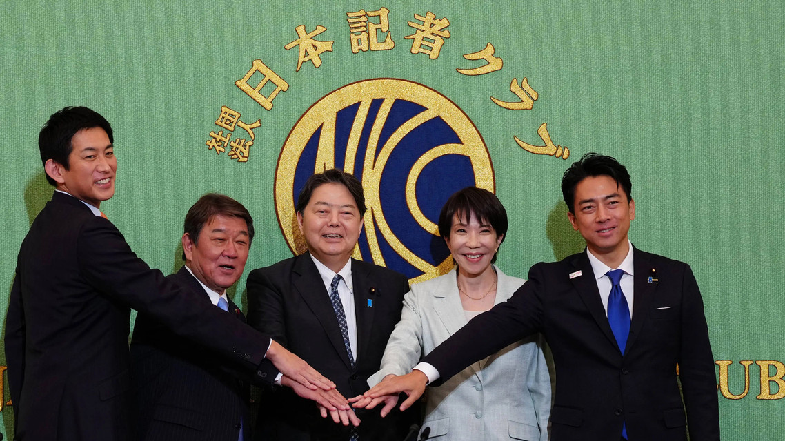 民调：日众议院选举执政联盟票数过半