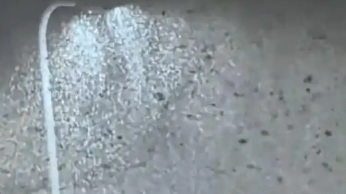 烟台暴雪下冒烟了