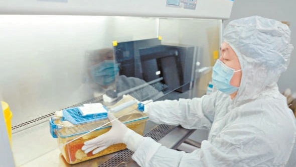 太空归来后鼠妈妈更“护娃”