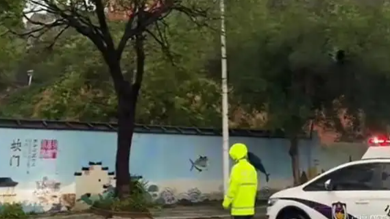  台风登陆半小时前后判若两地