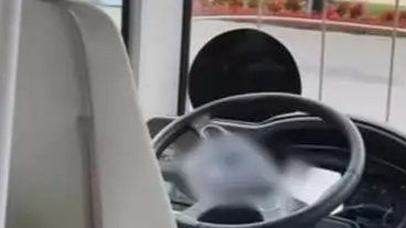 哈尔滨一虎园无人驾驶观光车引担忧