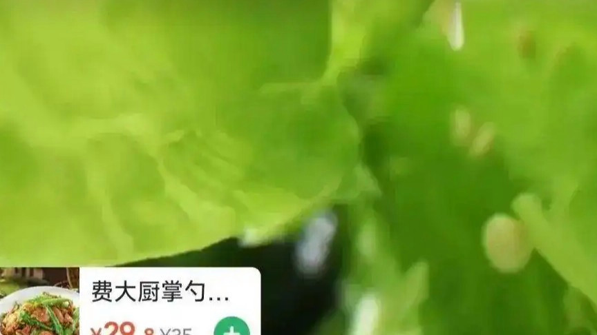 揭示美元50年来最大年中跌幅