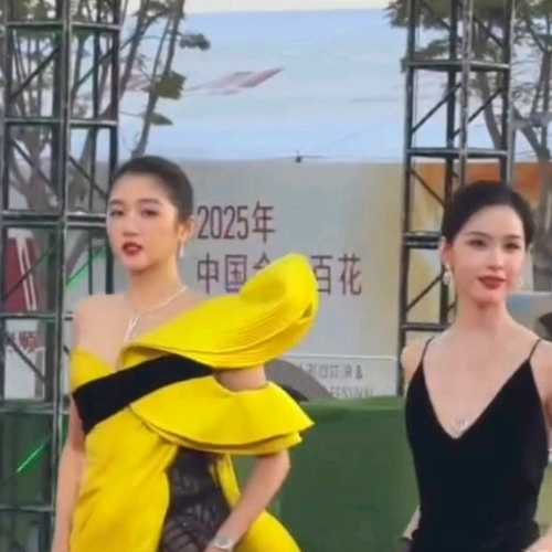 关晓彤陈都灵金鸡奖红毯同框