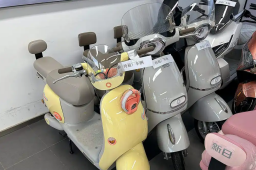   新国标“小电驴”长啥样？瘦了、贵了 缩略图