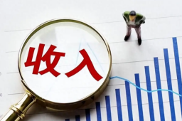   收入分配制度或迎重大改革 缩略图