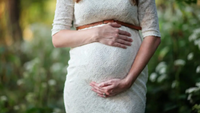 24人骗取生育津贴超220万元