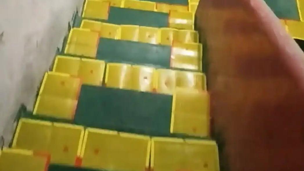  男子放100个粘鼠板铺满楼梯硬核灭鼠