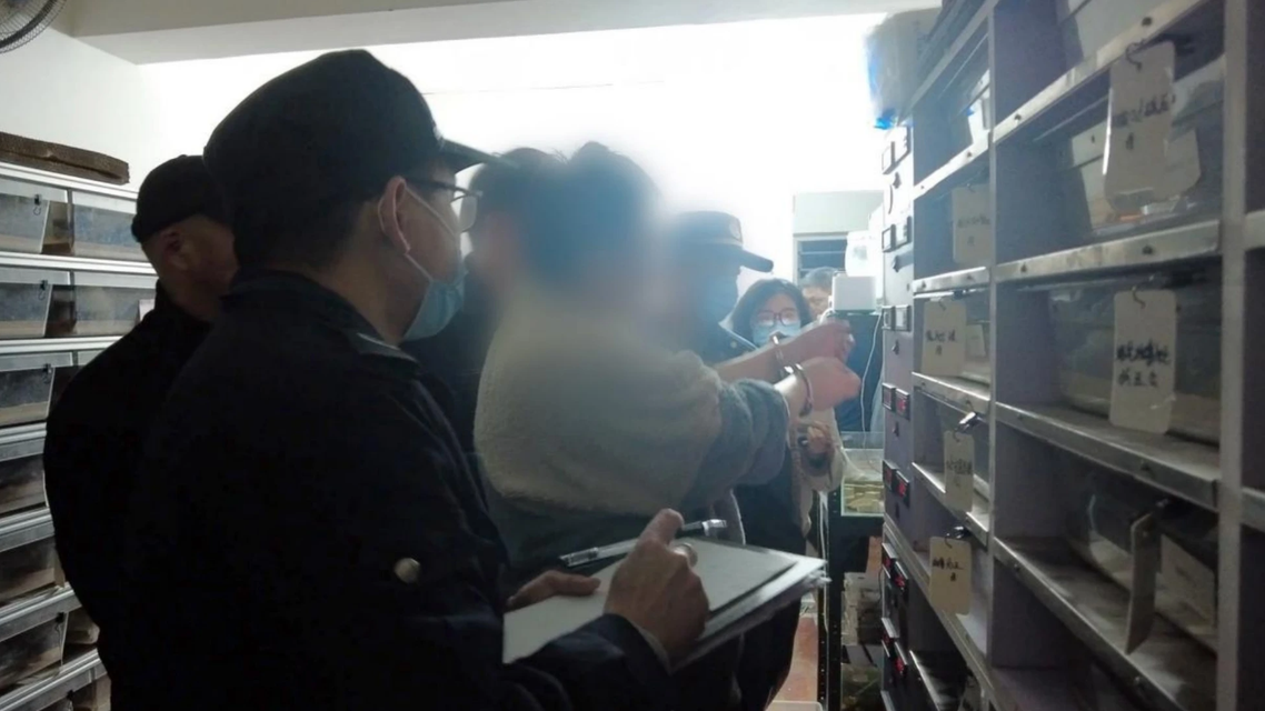 王曼昱欧洲大满贯开门红