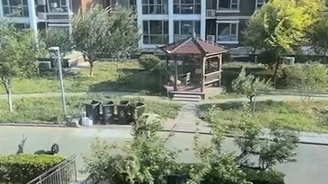  阵风八九级！实拍北京大风：树木摇晃