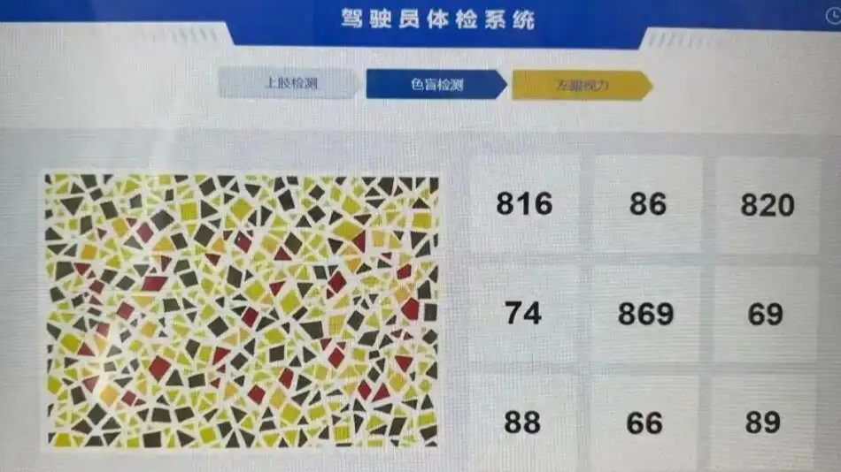 驾照体检色盲图24人仅6人答对