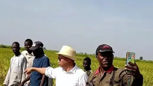 大叔因太会种地在非洲被持枪保护