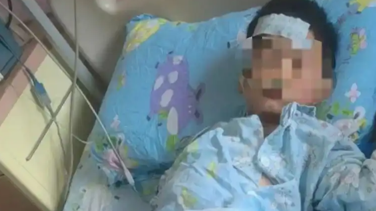 小区给绿植撑伞防晒：数万元一棵