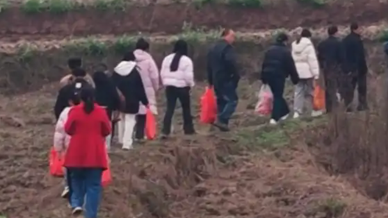 翻山越岭找祖坟？川渝人祭祖主打松驰
