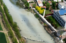   清水河变牛奶河：鱼虾绝迹 农田遭殃 缩略图