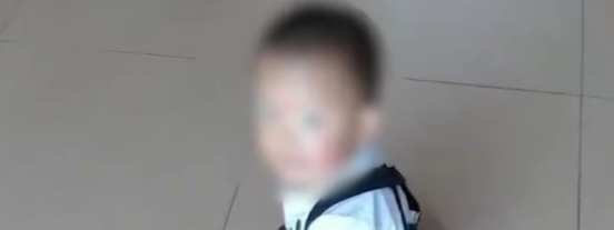 未婚小伙替兄养子 男童生母已再婚