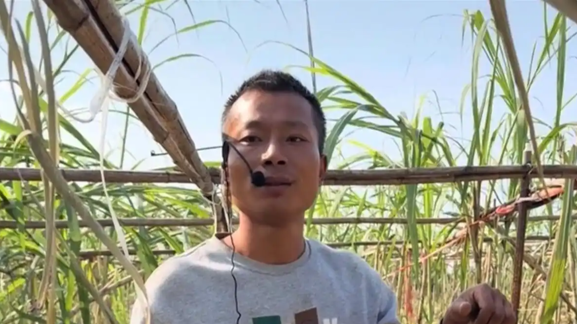 “偷甘蔗”农场新规：被逮到表演才艺