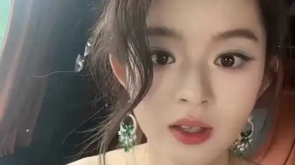  雅安纪委监委回应女星百万耳环事件