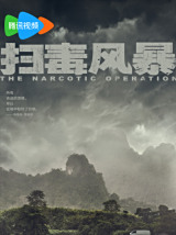扫毒风暴