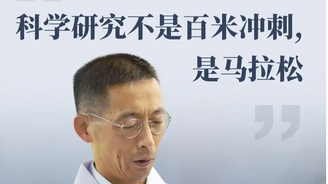 这个时代我们该追什么样的星