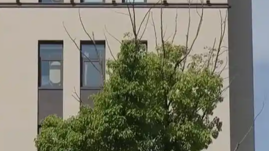  老板一个“滚”字赔了员工近16万