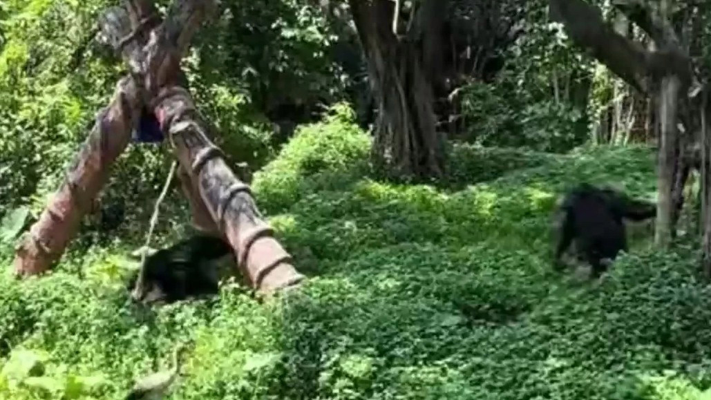 特朗普怒批美媒对美俄峰会的报道