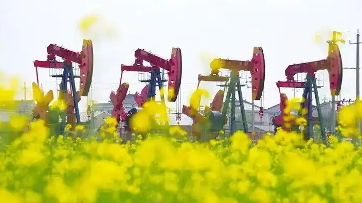 中石油等能源央企负责人薪酬披露