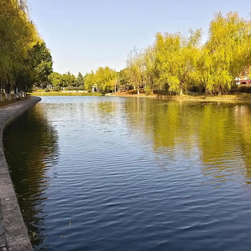 大学生校内溺亡 疑参加游戏不慎坠湖